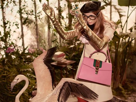 gucci flamingo wallpaper